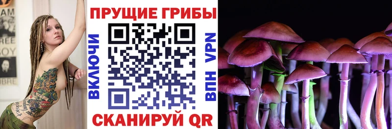 MEGA зеркало  Абдулино  Псилоцибиновые грибы MAGIC MUSHROOMS 
